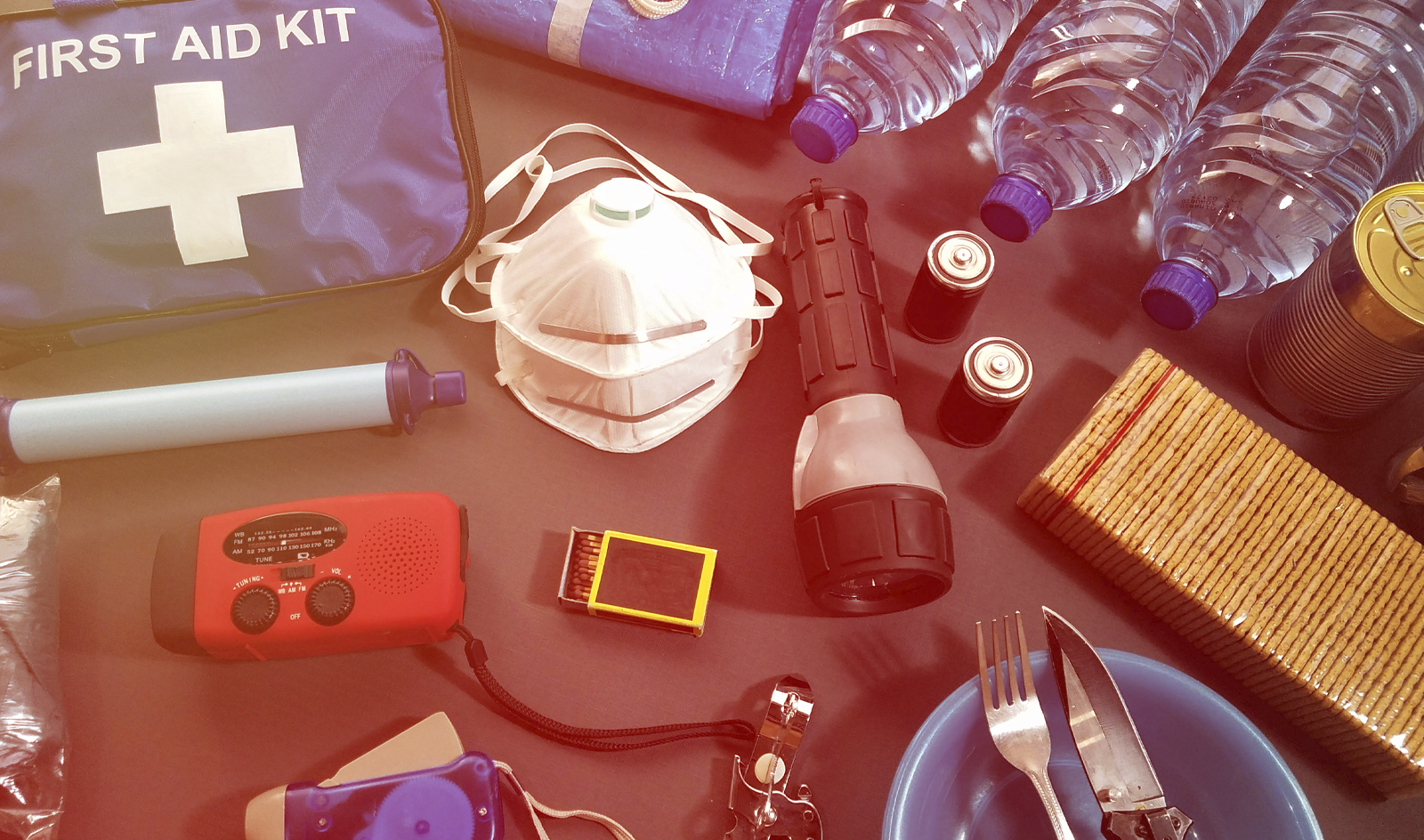 Emergency First Aid, CPR & AED